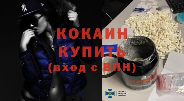 гашик Ладушкин