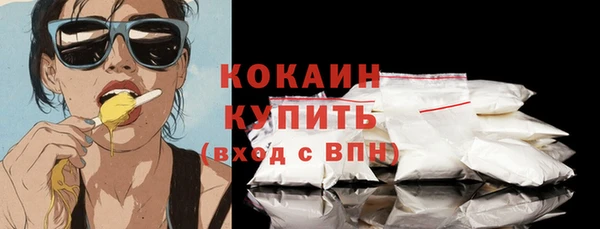 гашик Ладушкин