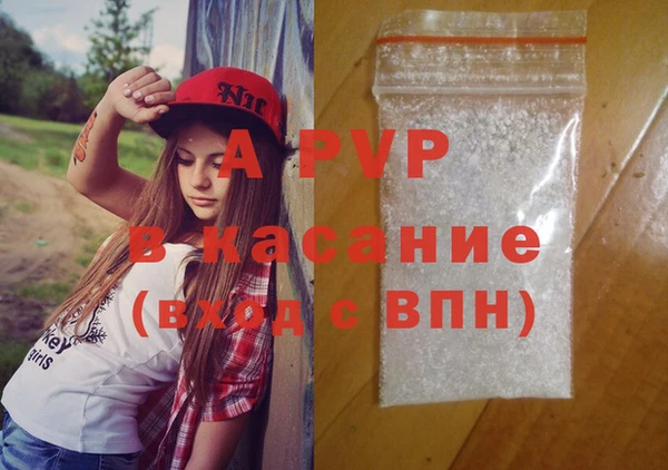 гашик Ладушкин