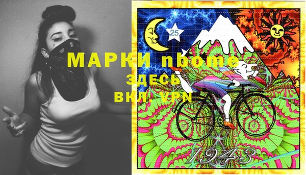 гашик Ладушкин