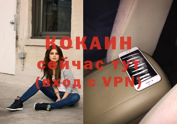 гашик Ладушкин