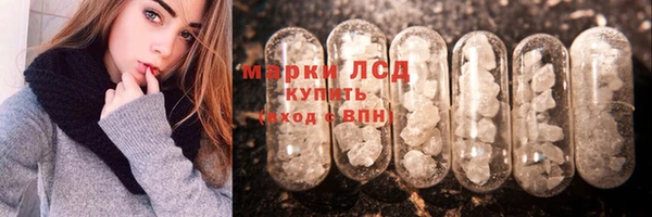 гашик Ладушкин
